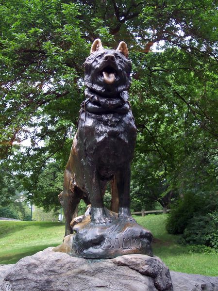 Statue of Balto in NYC