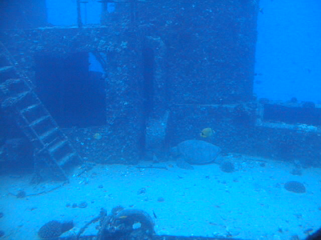 The underwater classroom