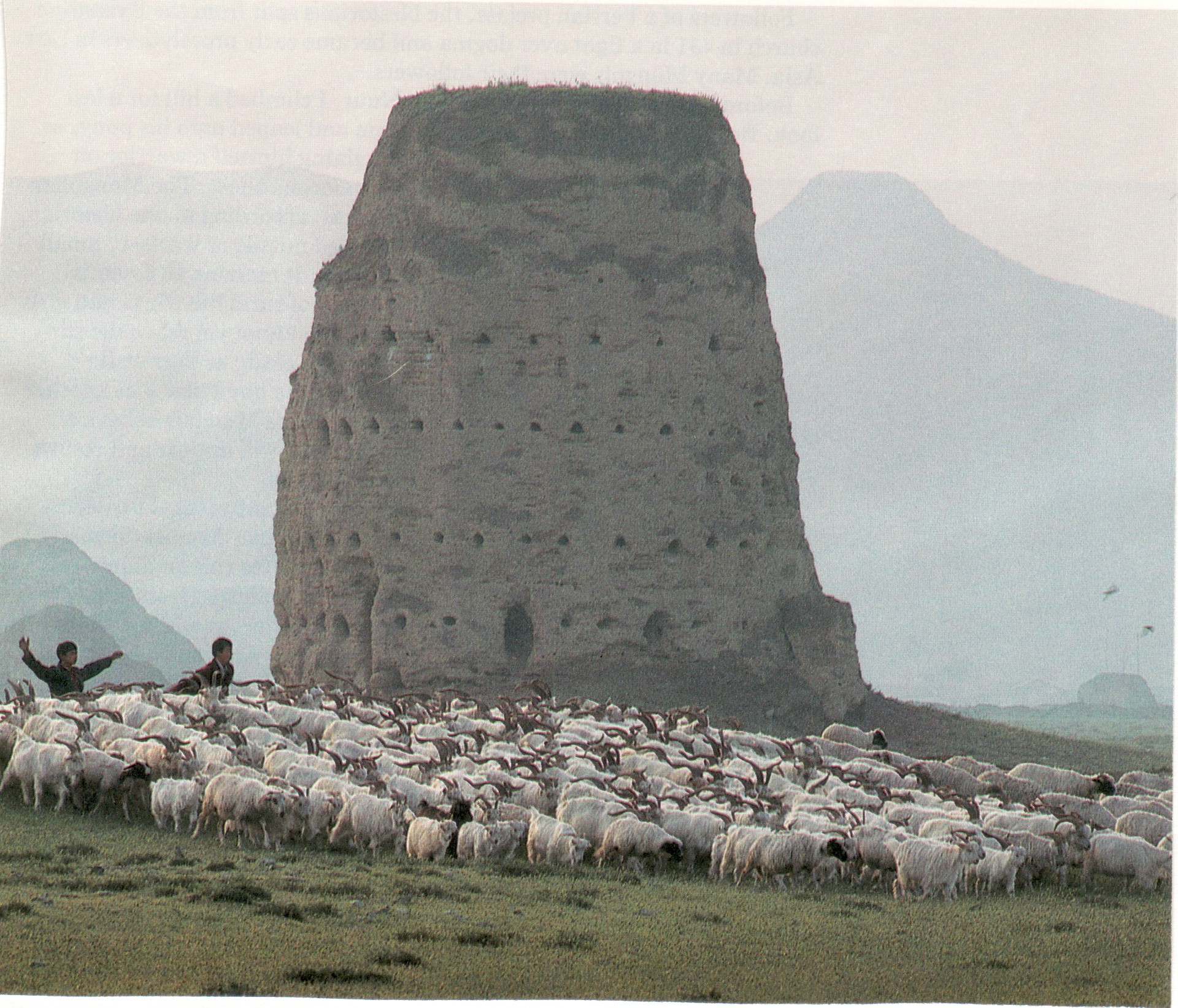 Bird tower in Iran