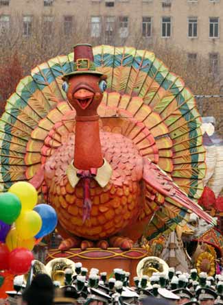 The big turkey