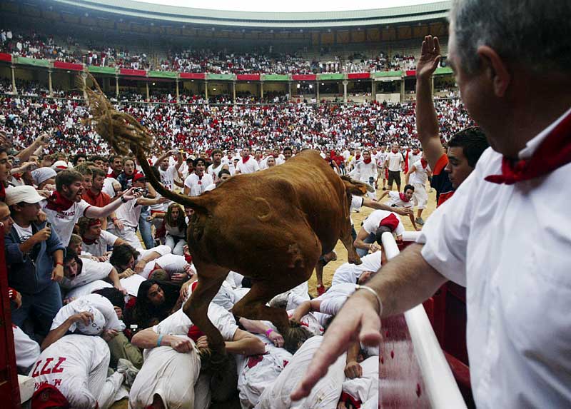 The jumping of the bulls