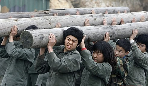 Carrying heavy logs