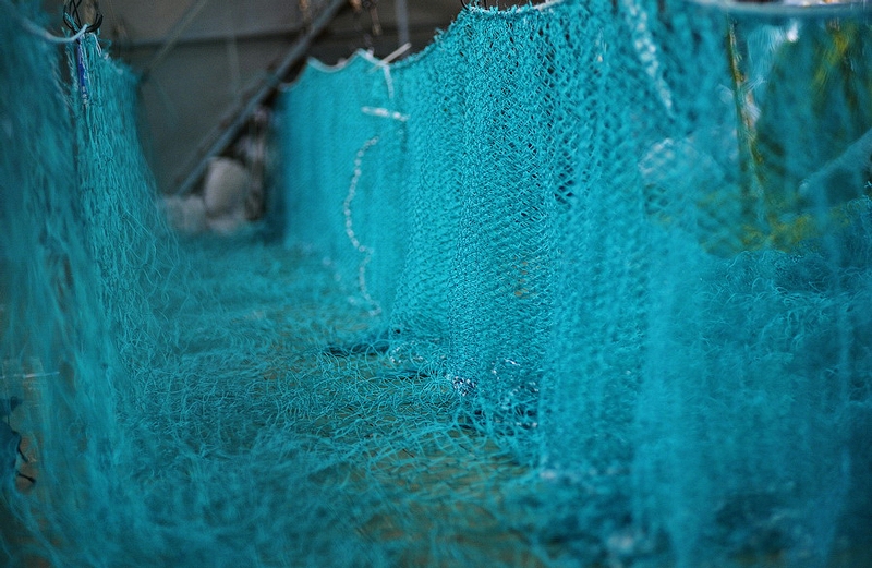 The color of the nets