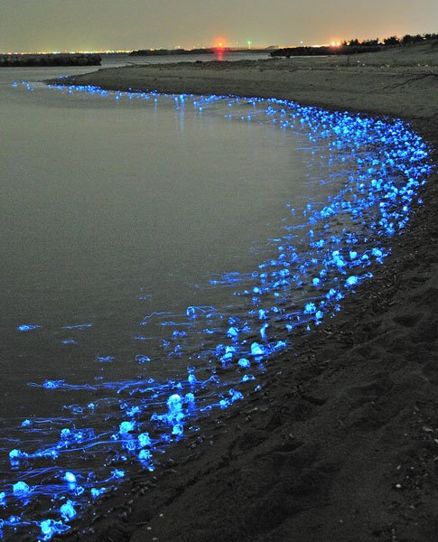 Glowing Water 2