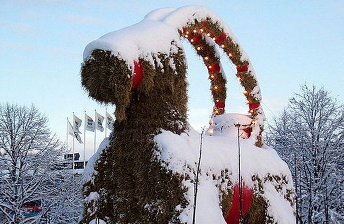 The IKEA Christmas goat in Iceland
