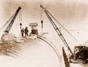 The Shell