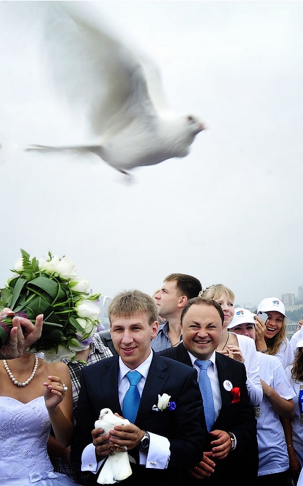 The dove of peach